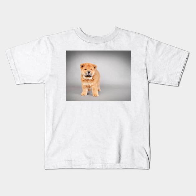 Chow chow  puppy Kids T-Shirt by PetsArt